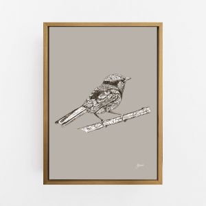Splendid Fairy-Wren in Pine Cone |  Framed or Unframed Canvas