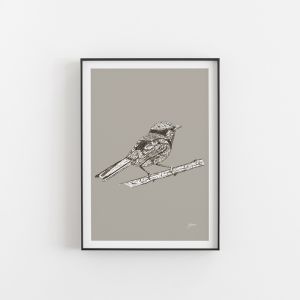Splendid Fairy-Wren in Pine Cone | Unframed Art Print