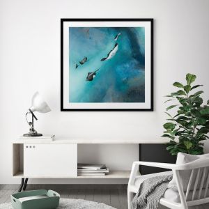 Stingrays | Petra Meikle de Vlas | Framed Art Print