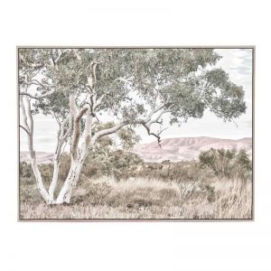 Stringybark Tree | Framed Canvas Print