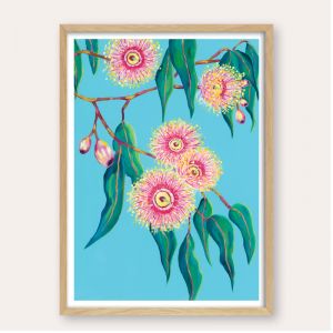 Sugar Gum Blossoms | Unframed Fine Art Print