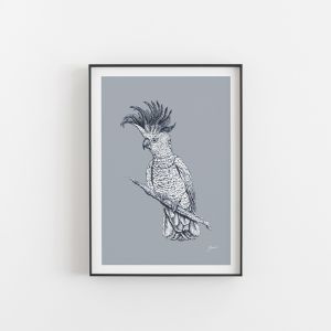 Sulphur Crested Cockatoo in Blue | Unframed Art Print