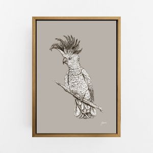 Sulphur Crested Cockatoo in Pine Cone | Framed or Unframed Canvas