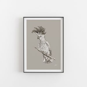 Sulphur Crested Cockatoo in Pine Cone | Unframed Art Print