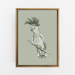 Sulphur Crested Cockatoo in Willow Green | Framed or Unframed Canvas