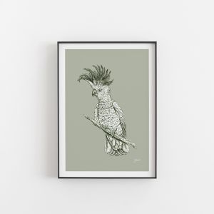 Sulphur Crested Cockatoo in Willow Green | Unframed Art Print