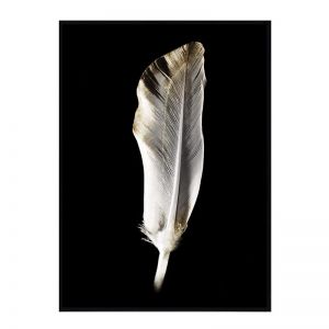 Sword Feather | Framed Print