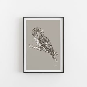Tawny Frogmouth in Pine Cone | Unframed Art Print