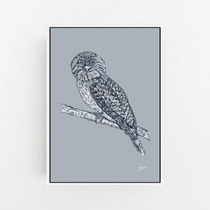Tawny Frogmouth in Wedgewood Blue | Framed or Unframed Canvas