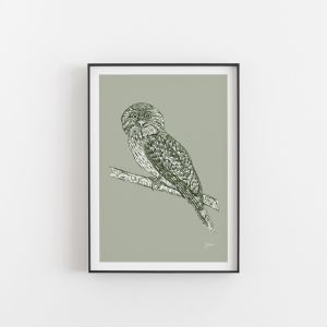 Tawny Frogmouth in Willow Green | Unframed Art Print