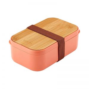 Tempa Bento Airtight/Leakproof Lunch Food Storage Box w/Spoon/Fork Terracotta