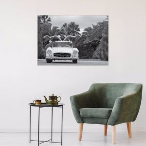 The Gullwing | Stretched Canvas | Printed Panel
