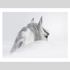 The White Horse | Unframed Art Print