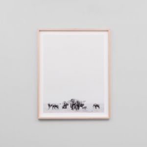 Travelling Herd Grey | Framed Photographic Print