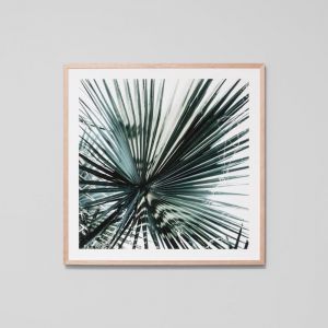 Tropical Garden 1 | Framed Photographic Print