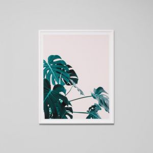 Tropical Home Blush | Framed Photographic Print