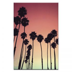 Tropical Palms | Prints and Canvas by Photographers Lane