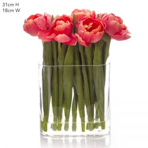 Tulip in Water in Vase | Salmon