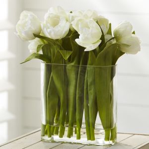 Tulips in Water Vase | White