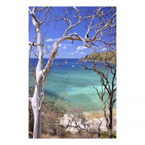 Turtle Bay | Framed Photographic Print or Canvas | By Ron Molnar