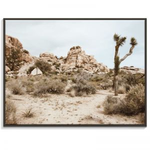 Typical Desert | Canvas or Print by Artist Lane