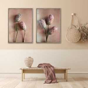 Watercolour Wash Proteas 2 | Set of 2 Art Prints | Unframed