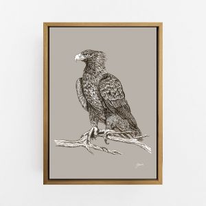 Wedgetail Eagle in Pine Cone | Framed or Unframed Canvas
