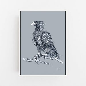Wedgetail Eagle in Wedgewood Blue | Framed or Unframed Canvas