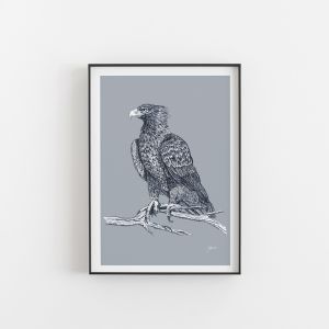 Wedgetail Eagle in Wedgewood Blue | Unframed Art Print