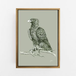 Wedgetail Eagle in Willow Green | Framed or Unframed Canvas