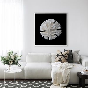 White Coral I | Framed Canvas Art Print