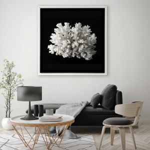 White Coral II | Framed Canvas Art Print