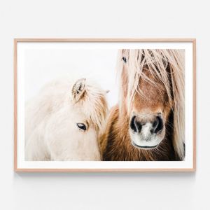 Wild Ponies | Framed Print | 41 Orchard