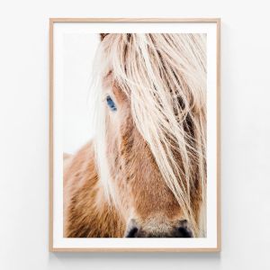 Wild Pony | Framed Print | 41 Orchard