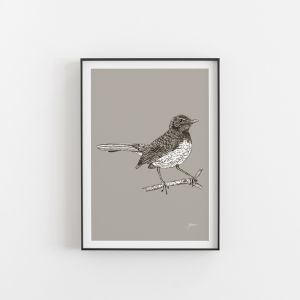 Willy Wagtail in Pine Cone | Unframed Art Print
