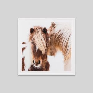 Winter Foal | Photographic Print