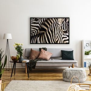 Zebras | Framed Canvas Art Print