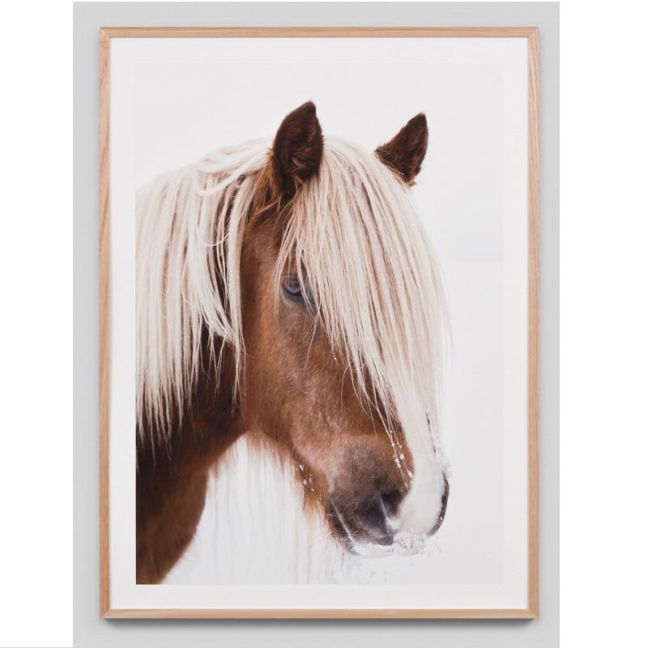 Cavallo Haflinger Horse Photograph | Framed Photographic Print