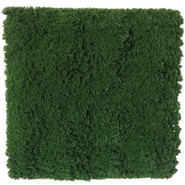 Dark Natural Green Artificial Moss | Green Wall UV Resistant | 1m x 1m