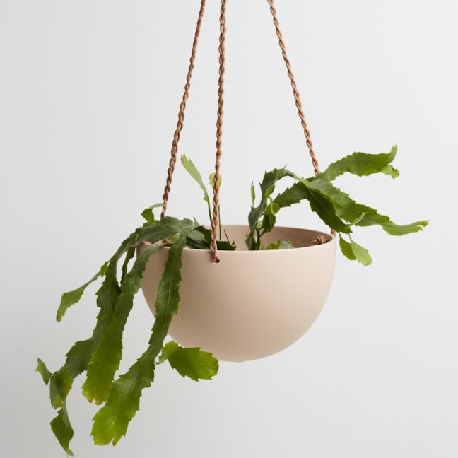 Dome Hanging Pot | Salt | Capra Designs