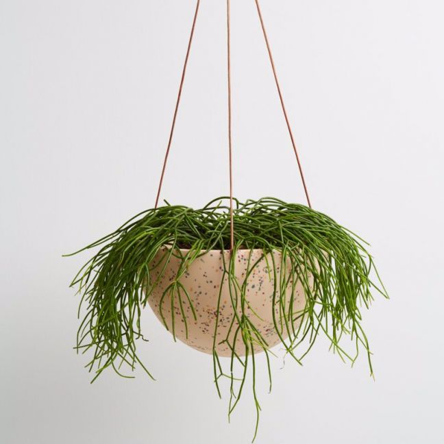 Dome Hanging Pot | Salt Terrazzo | Capra Designs