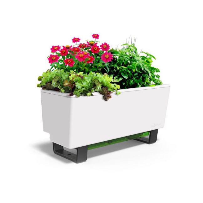 Glowpear Mini Bench | Self Watering Planter