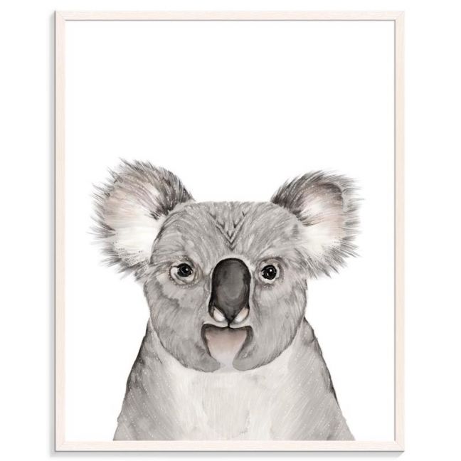 Koala | Bec Kilpatrick | Canvas or Prints by Artist Lane