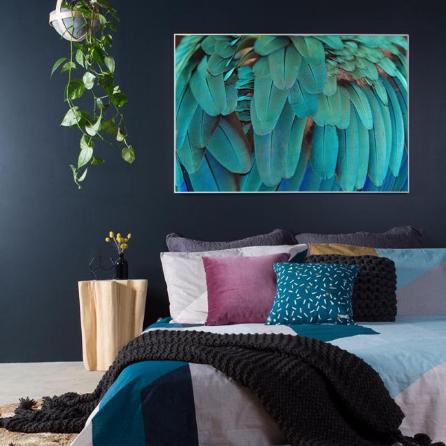 Macaw Feathers | Framed Photograph by Amelia Anderson
