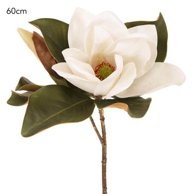 Magnolia Flower | White - 6 Stems