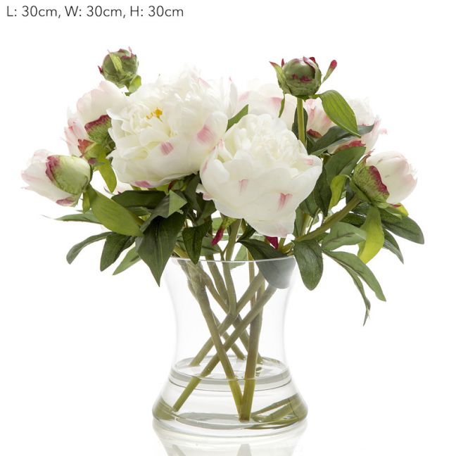 Peony in Water in Glass Vase | White