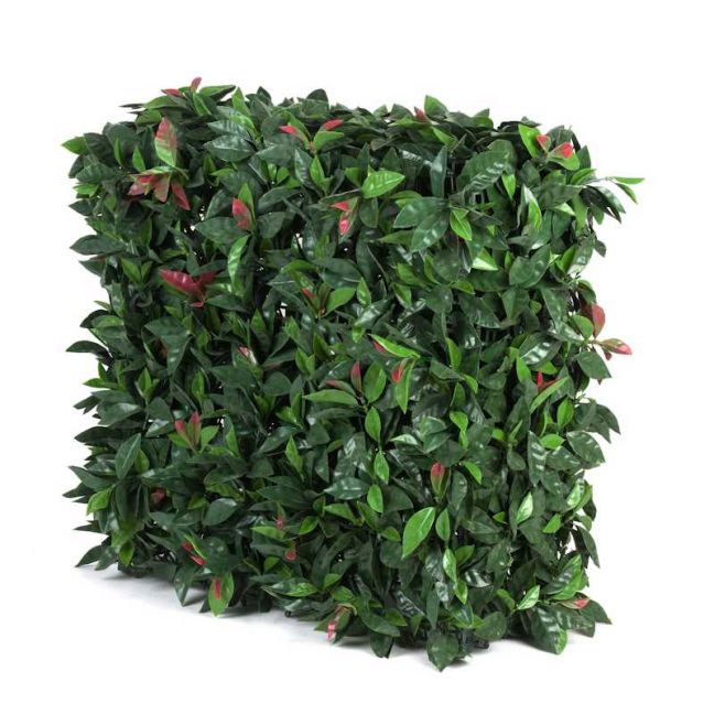 Portable Photinia Hedge | UV Resistant | 75cm x 75cm