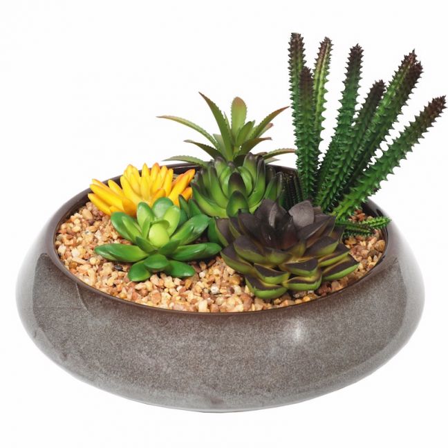 Potted Artificial Succulents | Round Decorative Bowl | 19cm
