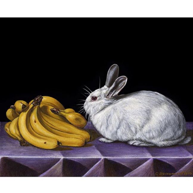 Still Life with Rabbit and Bananas | Giclee Art Unframed Print by Chris Beaumont
