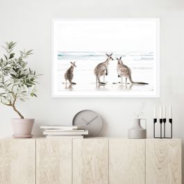 Buy Three Kangaroos Photo Art Print (Various Sizes) Online